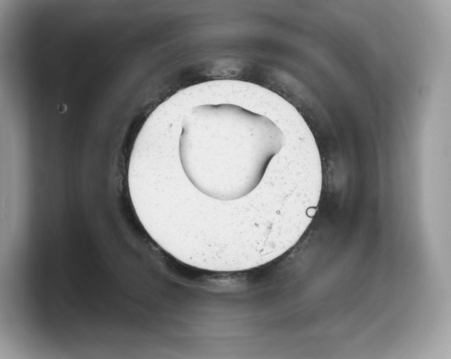 X0000103220370200809181508