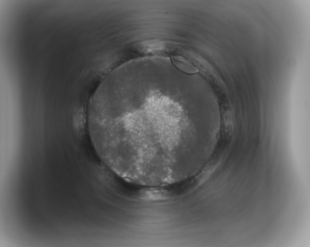 X0000103220372200809181508