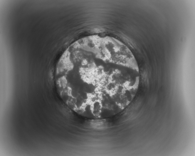 X0000103220373200809181508