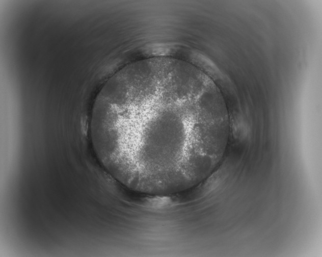 X0000103220374200809181508