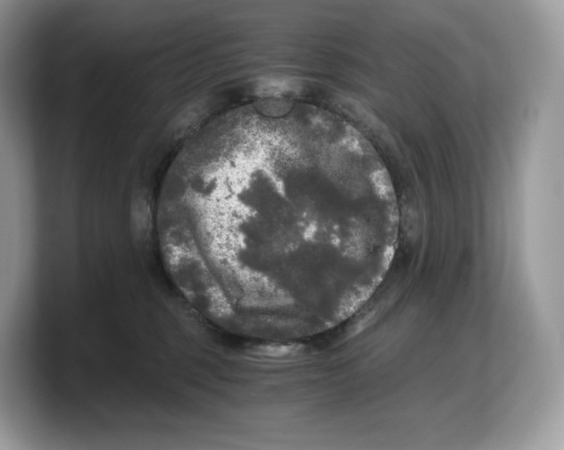 X0000103220375200809181508