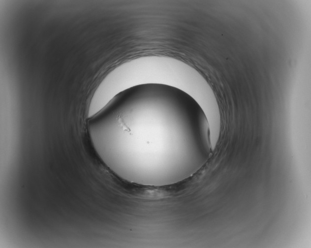 X0000103220376200809181508