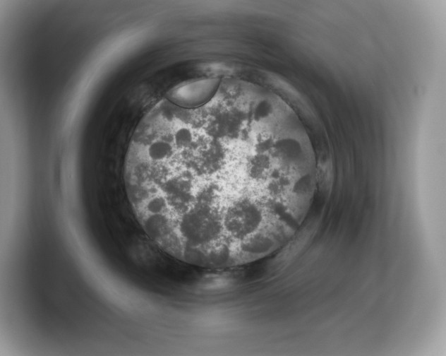 X0000103220381200809181508