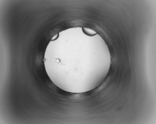 X0000103220382200809181508