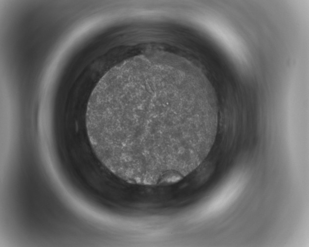 X0000103220383200809181508