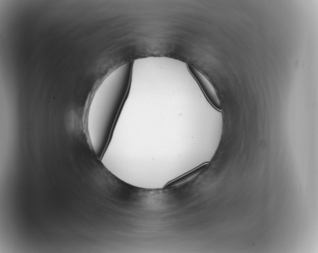 X0000103220384200809181508