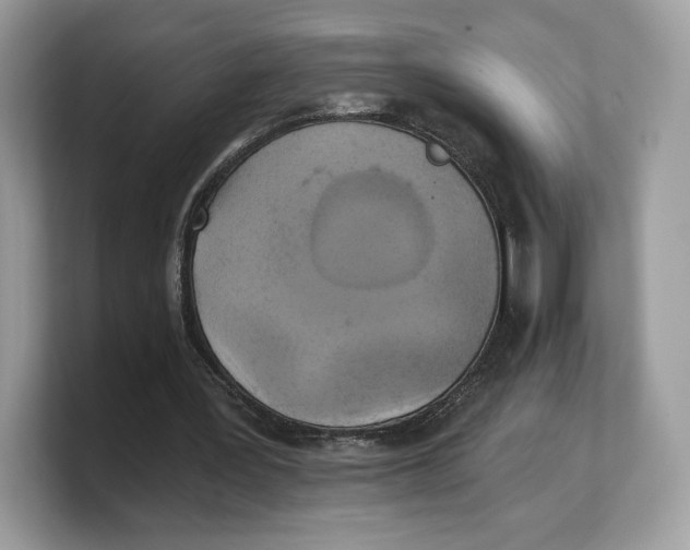 X0000103220387200809181508