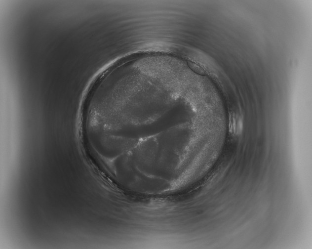 X0000103220388200809181508