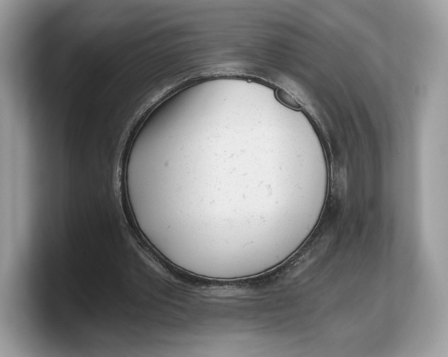 X0000103220389200809181508