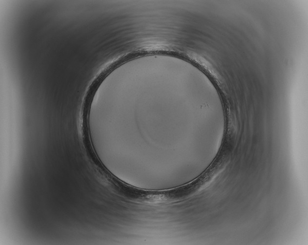 X0000103220391200809181508