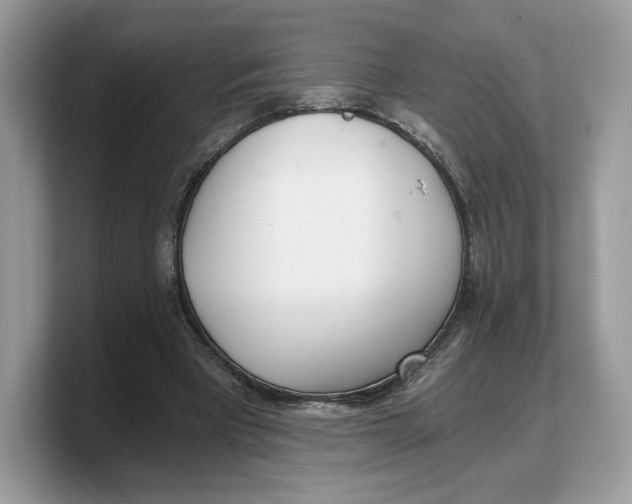 X0000103220393200809181508