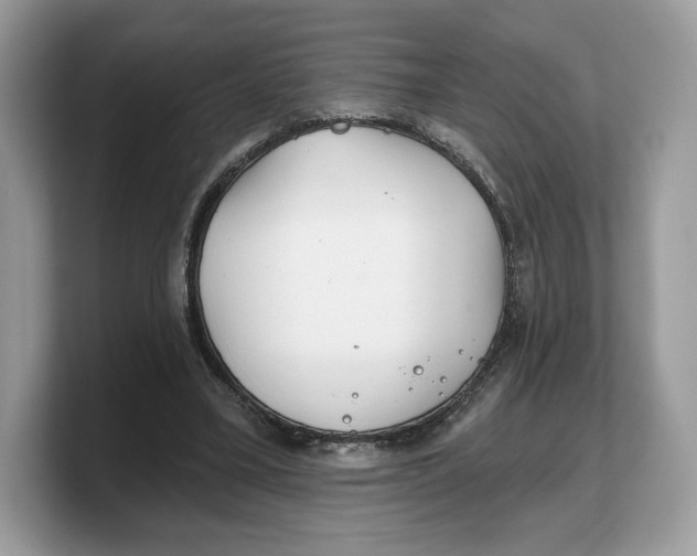 X0000103220395200809181508