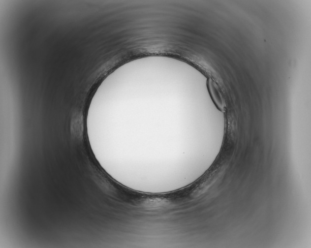 X0000103220397200809181508