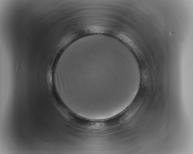 X0000103220398200809181508