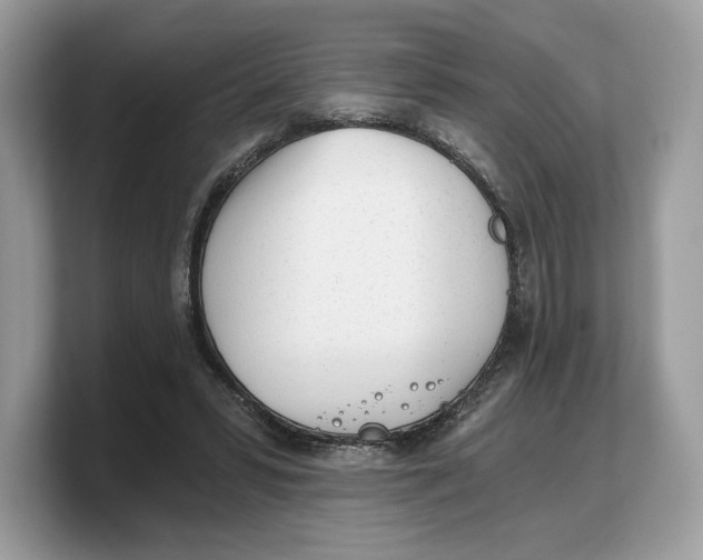 X0000103220399200809181508