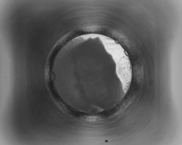 X0000103220400200809181508