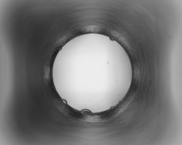 X0000103220403200809181508