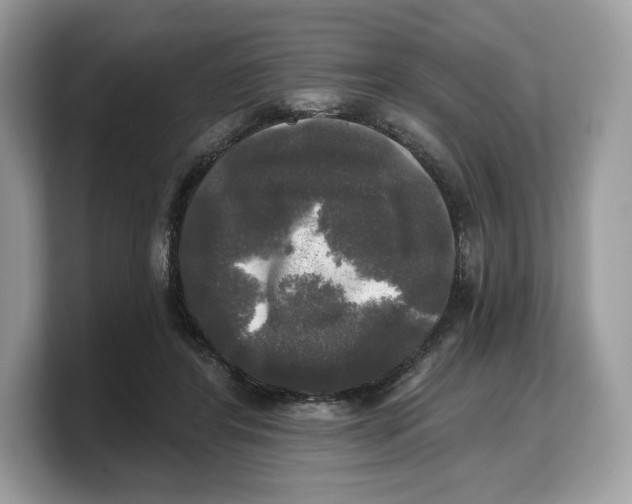 X0000103220404200809181508