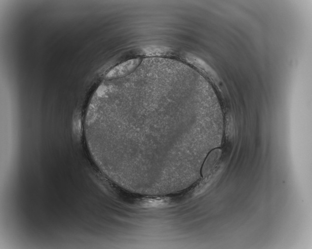 X0000103220405200809181508