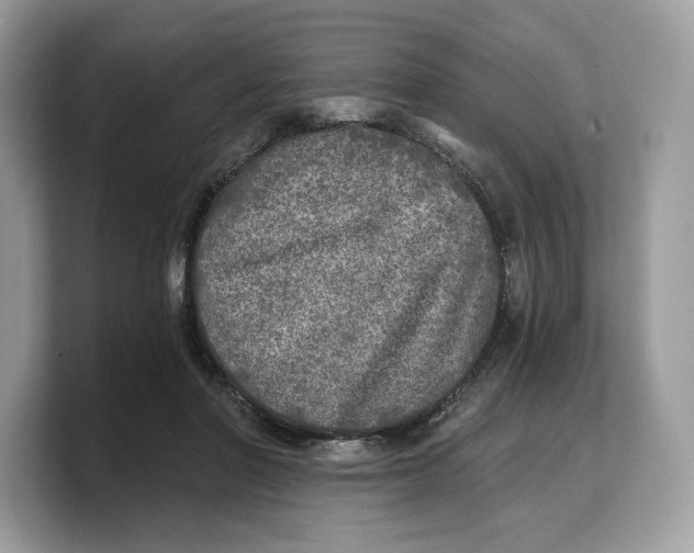 X0000103220406200809181508