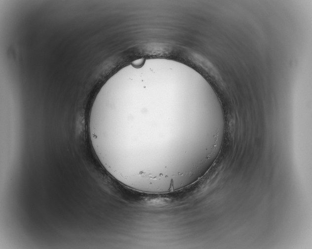 X0000103220407200809181508