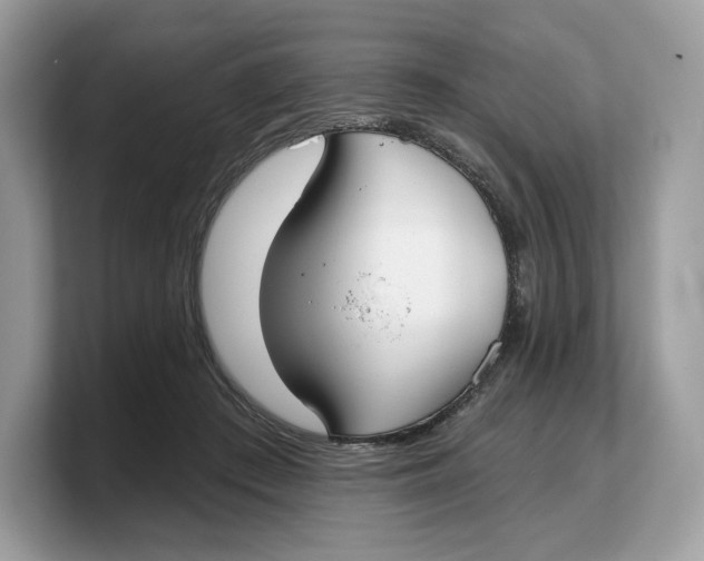 X0000103220409200809181507