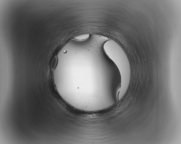 X0000103220411200809181507