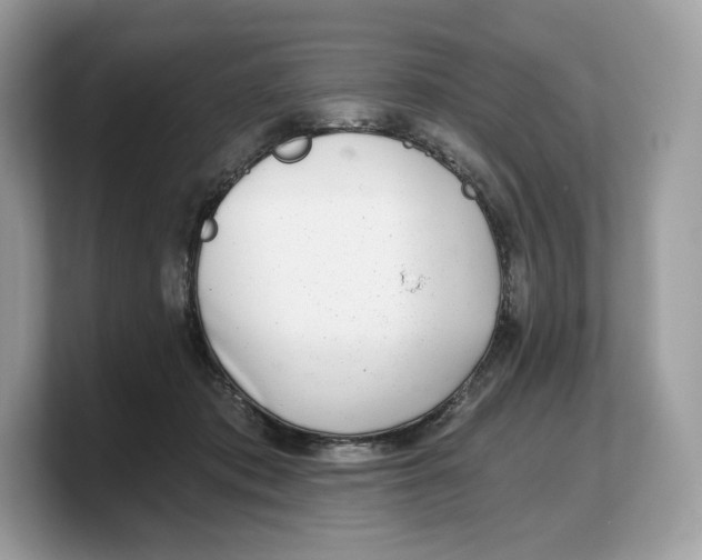 X0000103220413200809181507