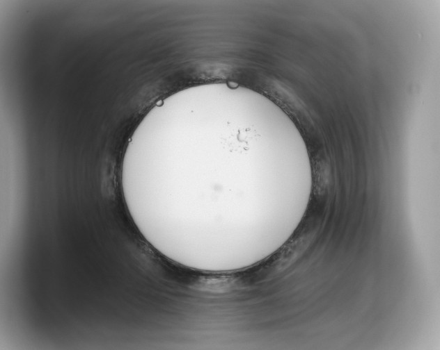 X0000103220414200809181507