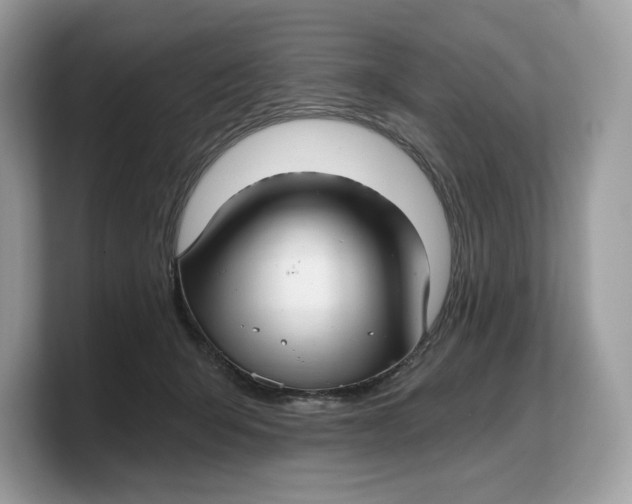 X0000103220415200809181507