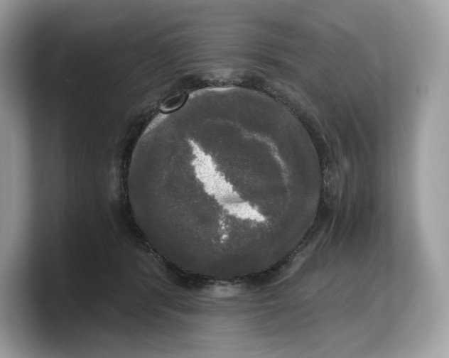 X0000103220416200809181507