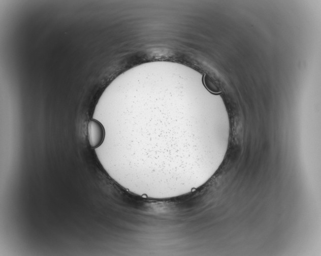 X0000103220417200809181507