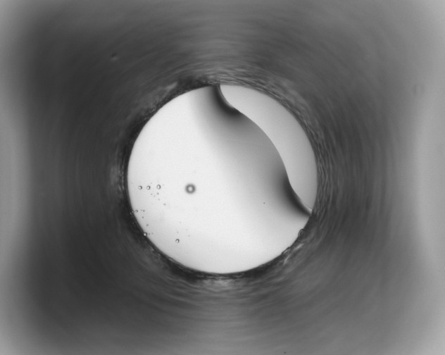 X0000103220419200809181507