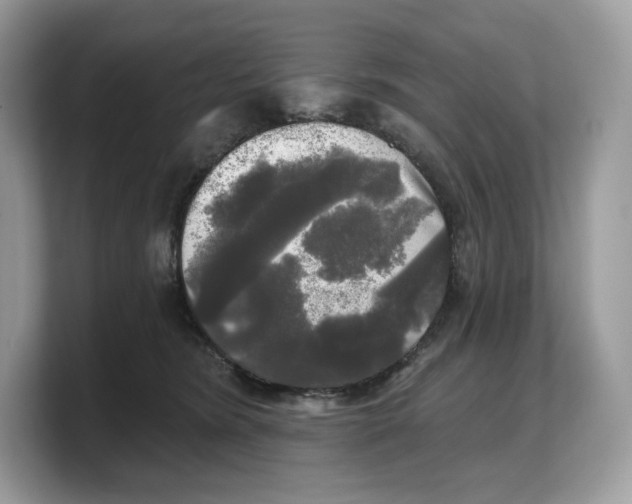 X0000103220420200809181507