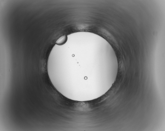 X0000103220421200809181507