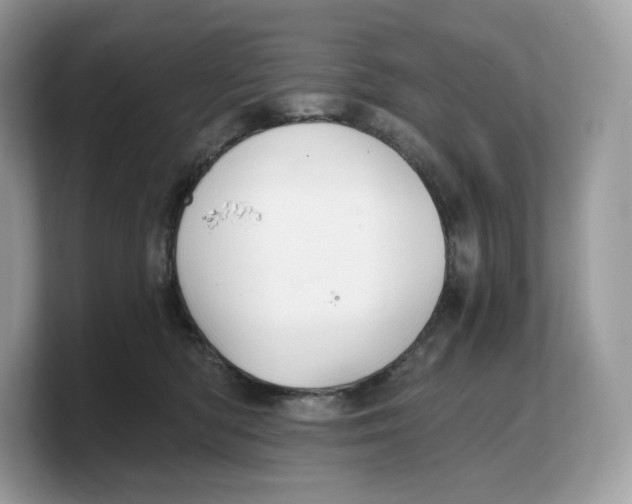 X0000103220422200809181507