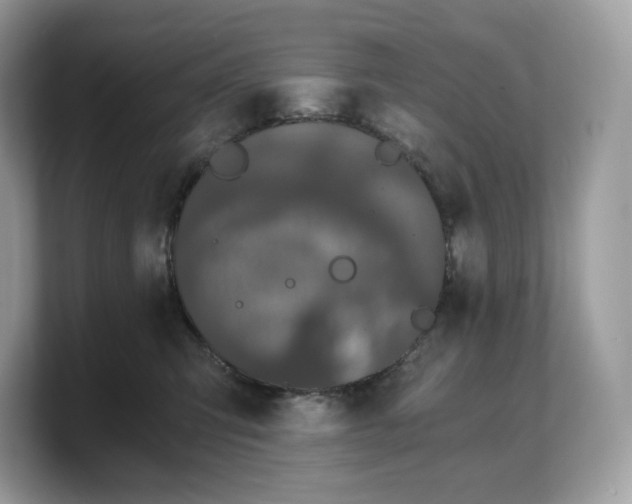 X0000103220423200809181507