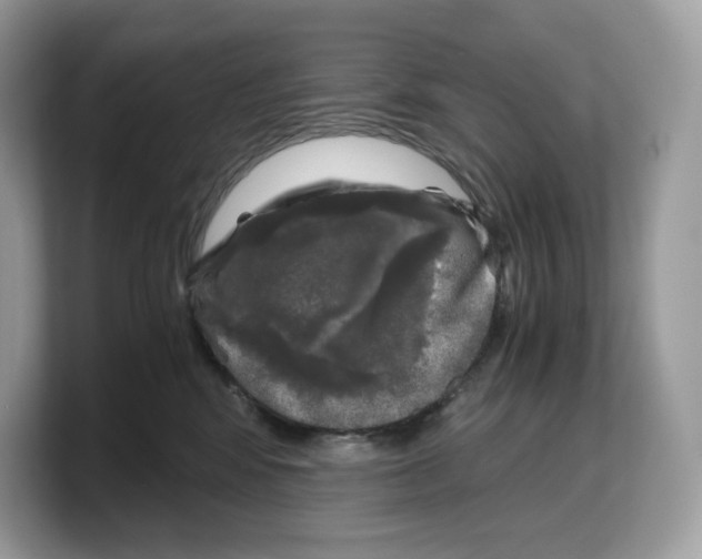 X0000103220424200809181507