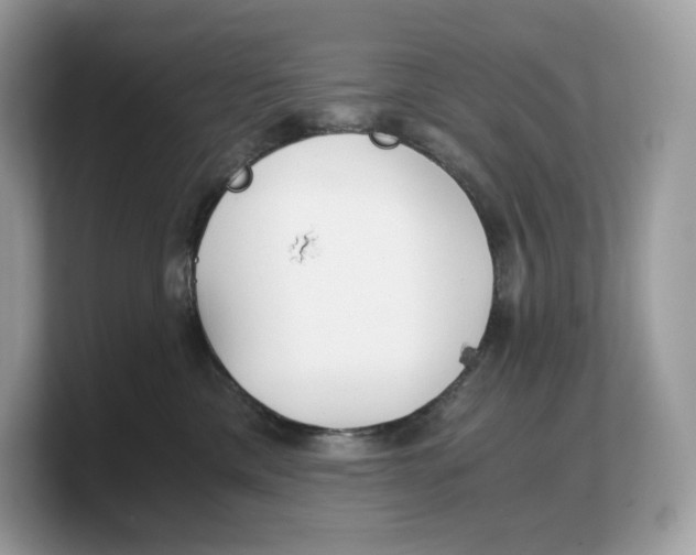 X0000103220425200809181507