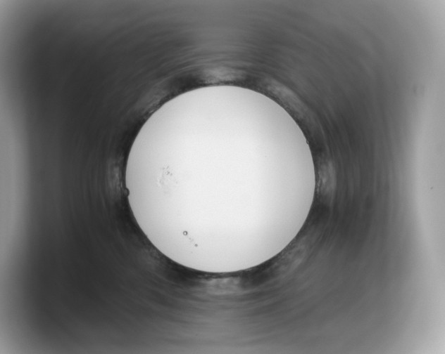 X0000103220426200809181507