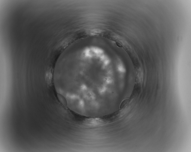 X0000103220427200809181507