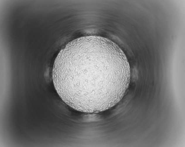 X0000103220428200809181507