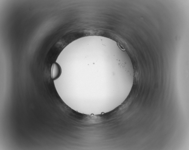 X0000103220429200809181507