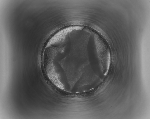 X0000103220434200809181507