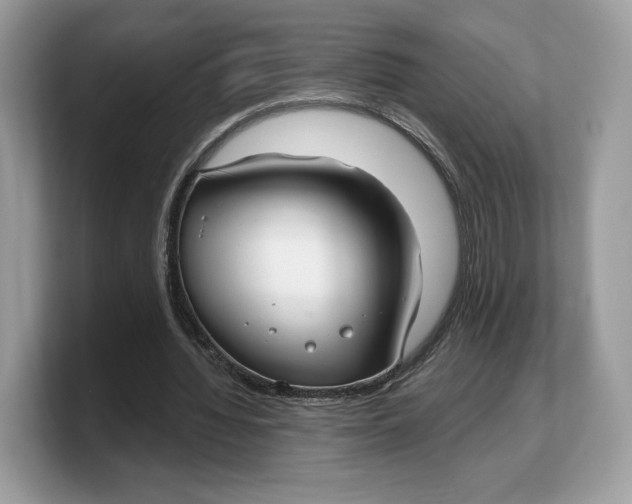 X0000103220436200809181507