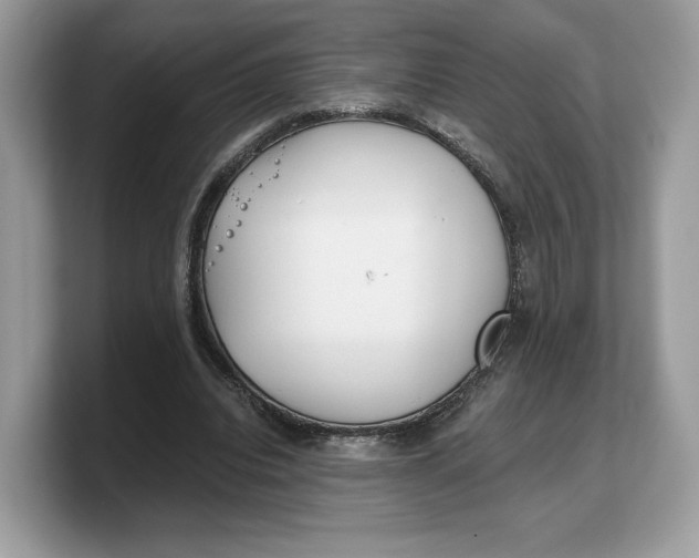 X0000103220440200809181507