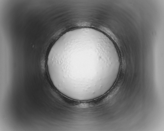 X0000103220441200809181507