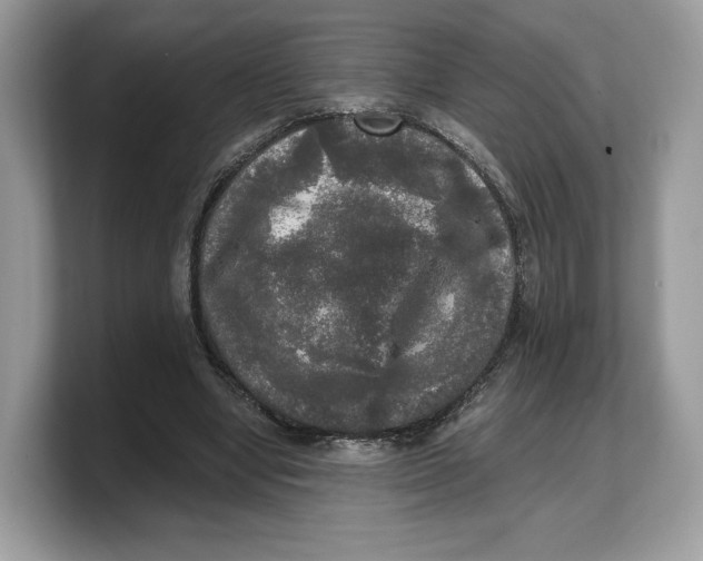 X0000103220442200809181507