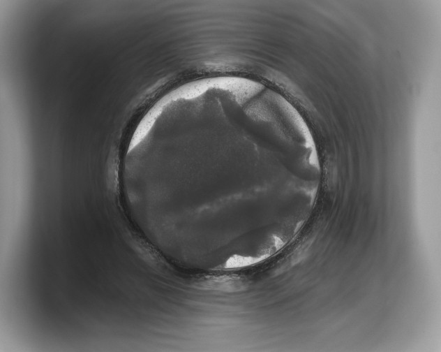 X0000103220446200809181507