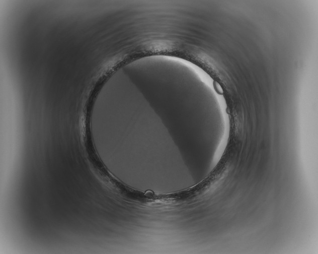 X0000103220447200809181507